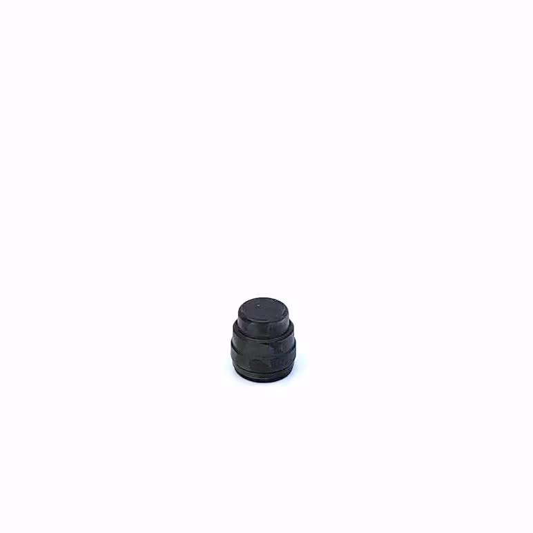 Bouchon Fem ø22 pour Tube Rampe