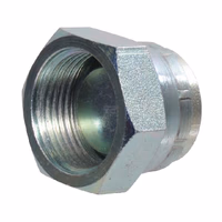 Bouchon femelle 1''1/2 BSP (47.8 mm)