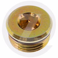 Bouchon ref 604882 adaptable Manitou