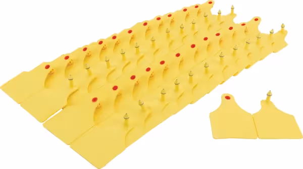 Boucle identification Multiflex D jaune