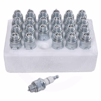 Bougie Champion (24 pièces)