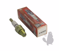 BOUGIE CHAMPION PRZ9HC ->PL