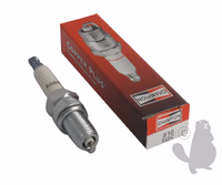 BOUGIE CHAMPION RA8HC