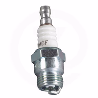 Bougie NGK BM6F