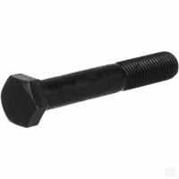 Boulon 16x100x2 10.9 TL Tortella