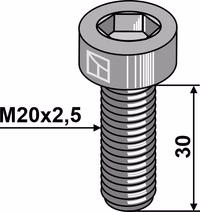 Boulon à 6 pans creux - M20x2,5 - 10.9