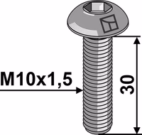 Boulon à tête bombée M10x1,5x30 avec six pans creux