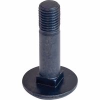 Boulon M16x65-10.9 Rabe