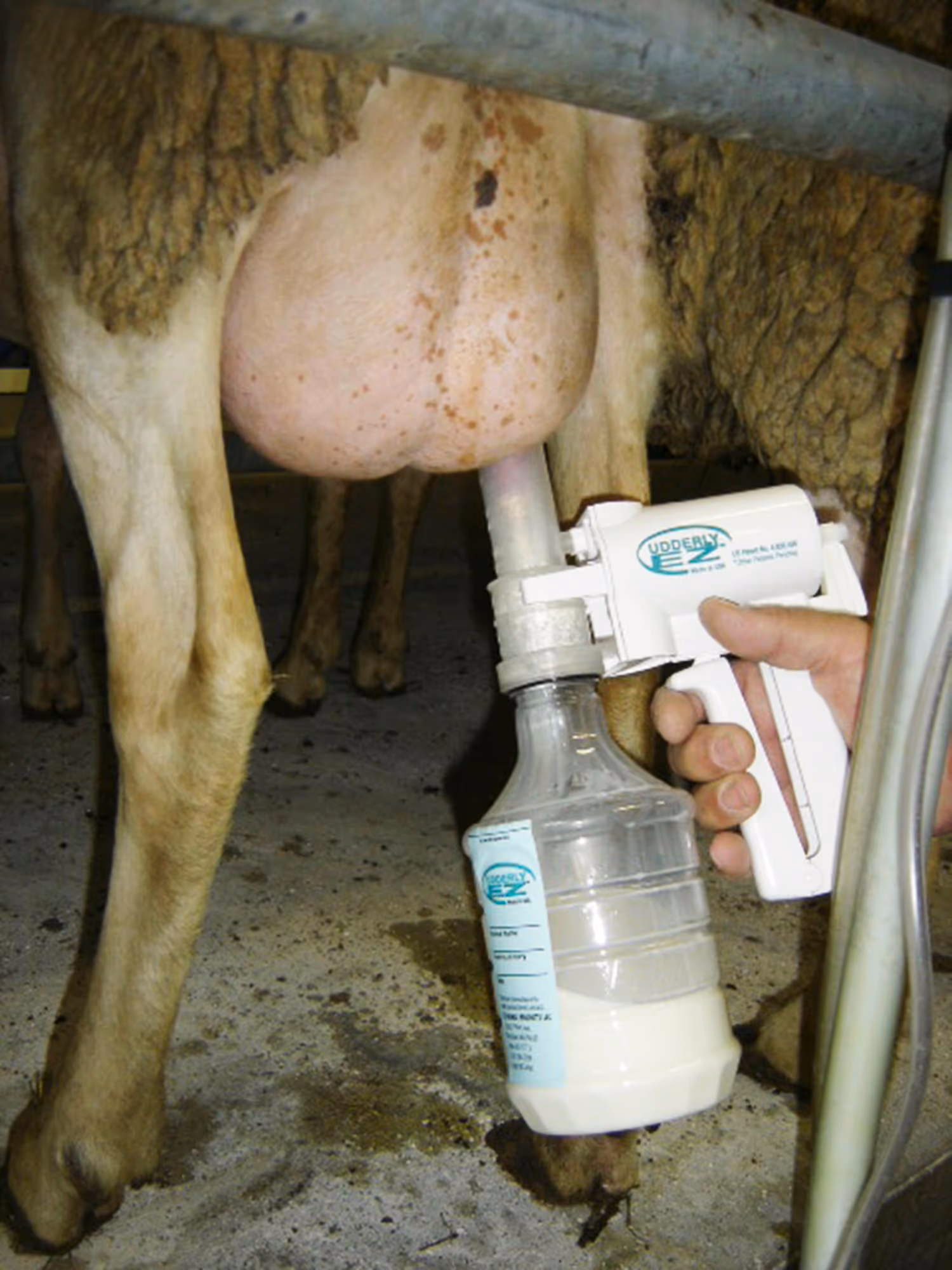 Bouteille de rechange pompe à lait agneau Quart