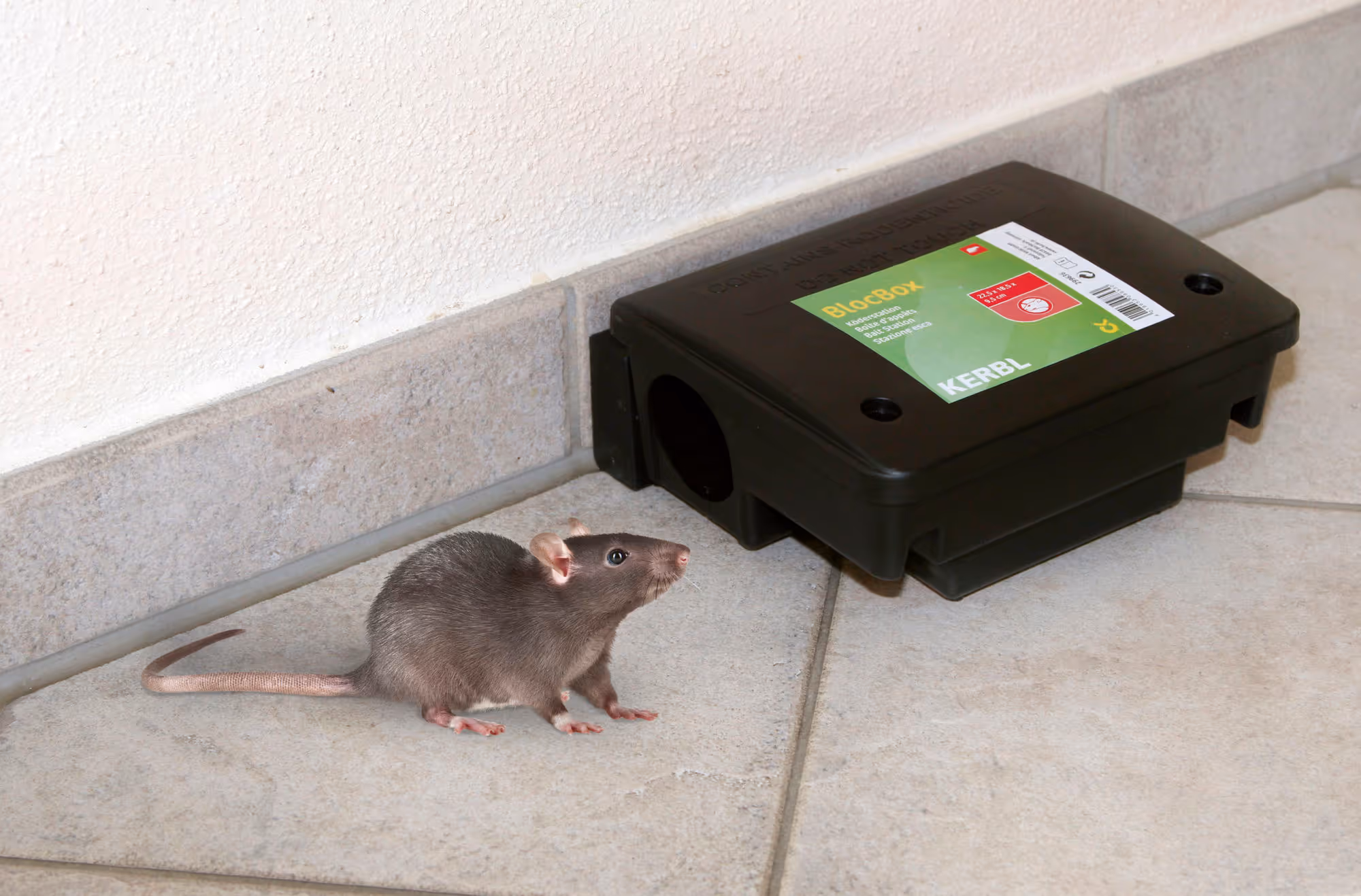 Box de piégeage BlocBox Beta PVC, 22,5x18,5x9,5cm, rat