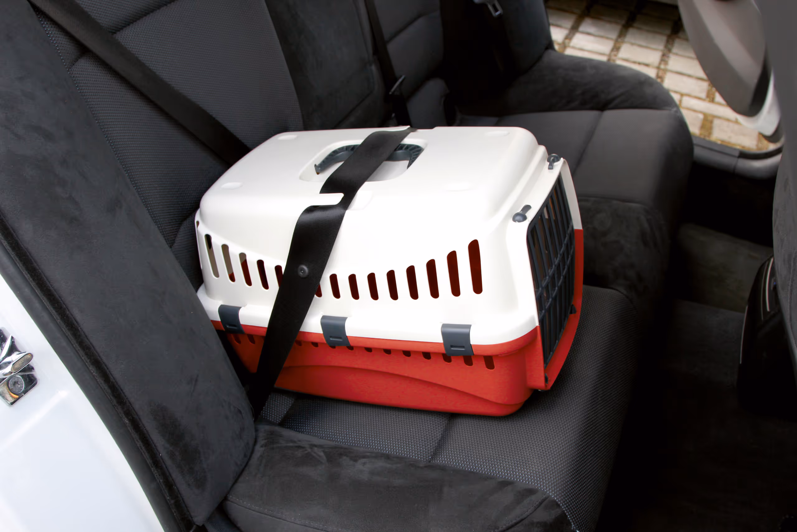 Box de transport Expedion crème/bordeaux, 48X32X32cm