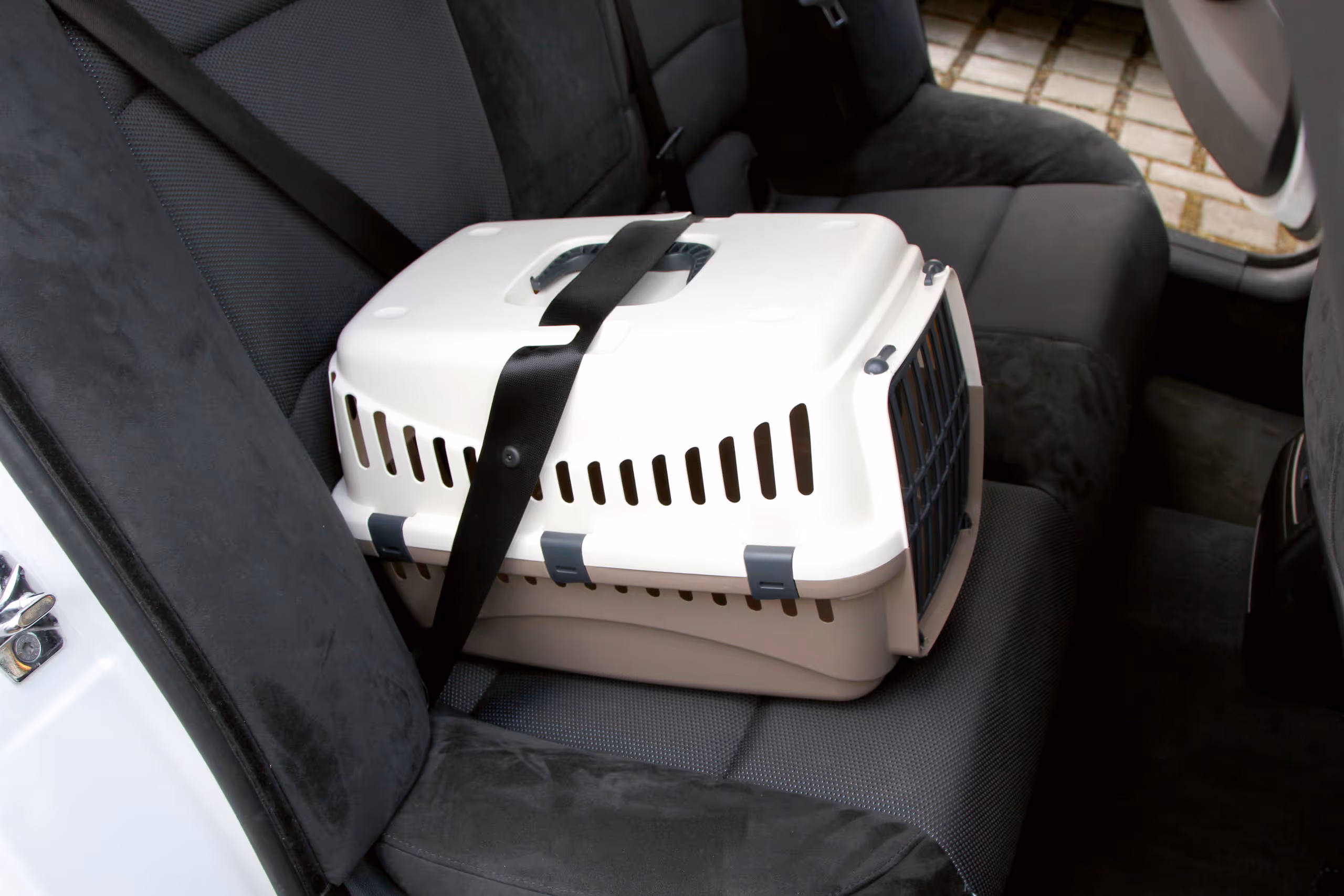 Box de transport Expedion vert/gris foncé, 48X32X32cm