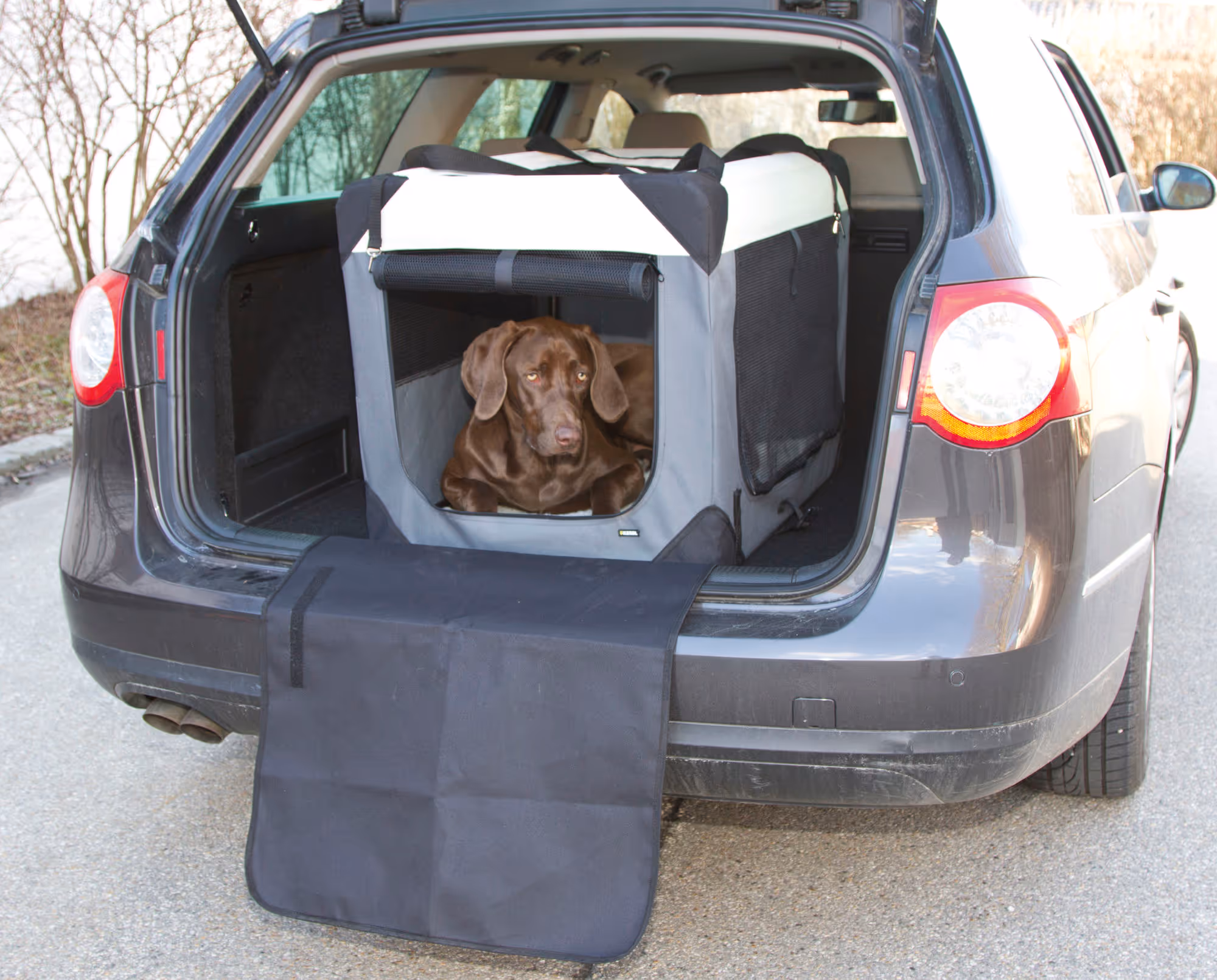 Box de transport Journey 81x58x58cm, gris/beige