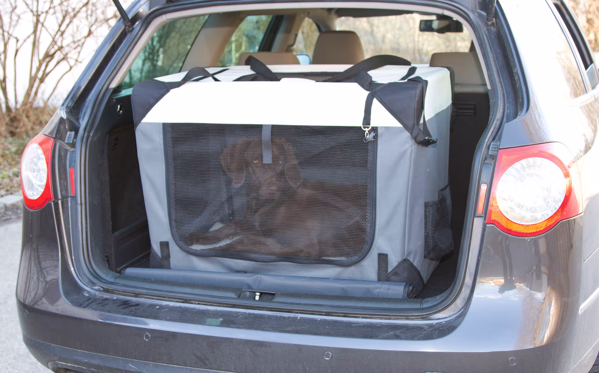 Box de transport Journey 81x58x58cm, gris/beige