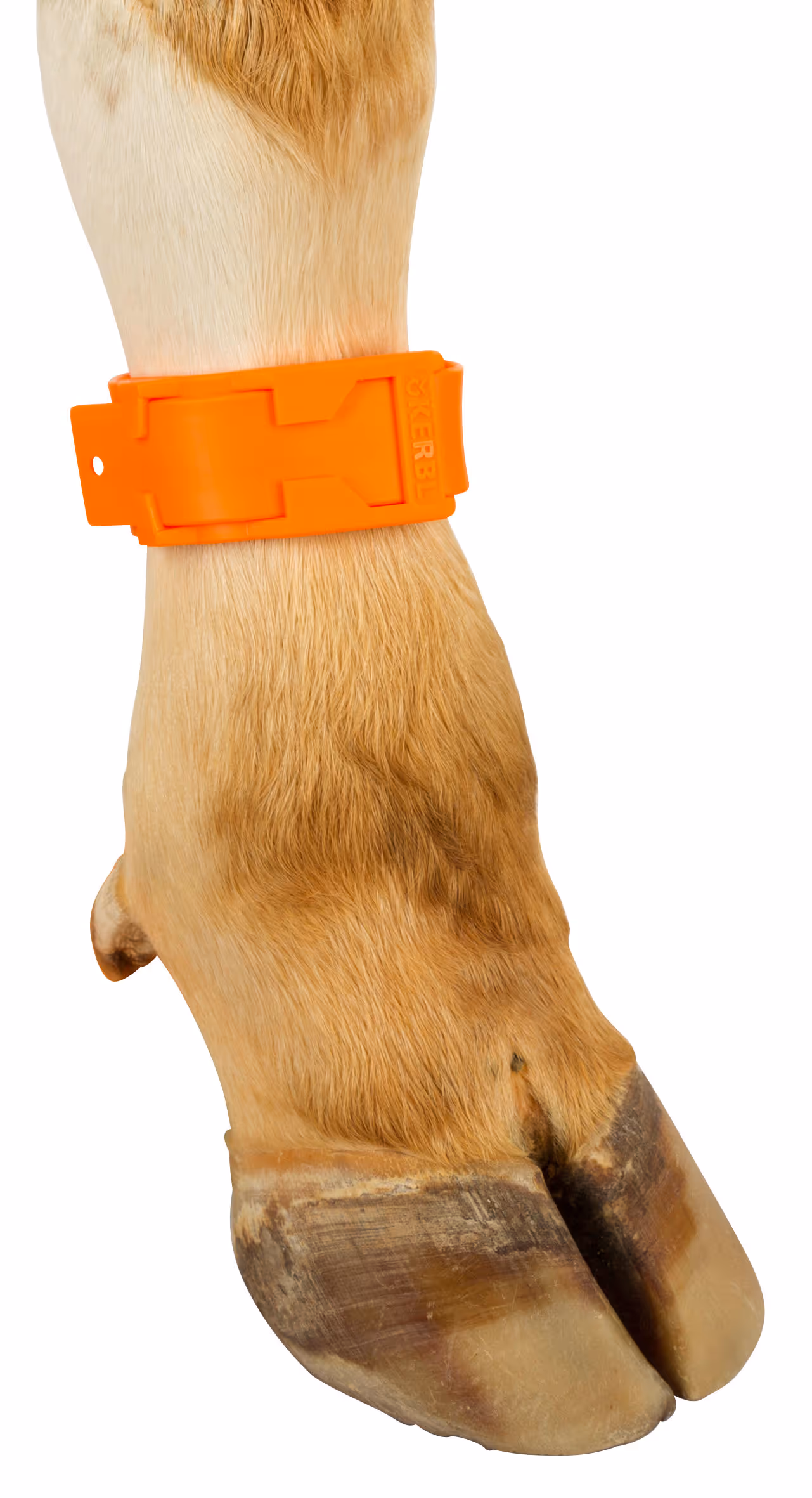 Bracelet de marquage plastique orange, 37cm, 10pcs