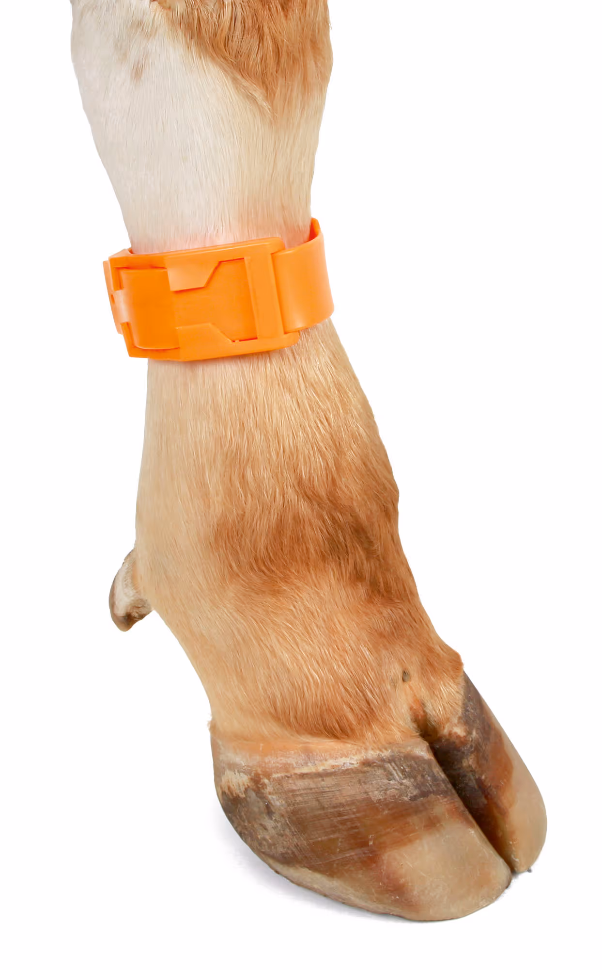 Bracelet plastique jaune 
