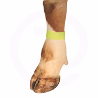 Bracelet vache 36 cm Jaune - Universel