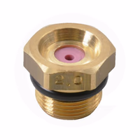 Buse pulverisateur Braglia à turbulance laiton Origine