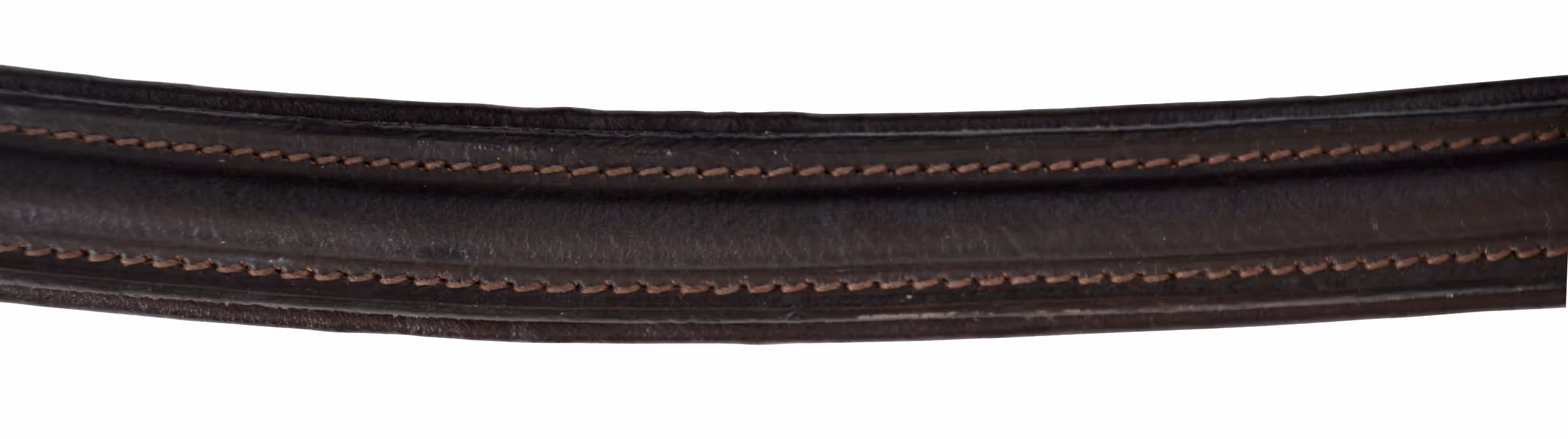 Bridon cheval de trait brun, XXFull