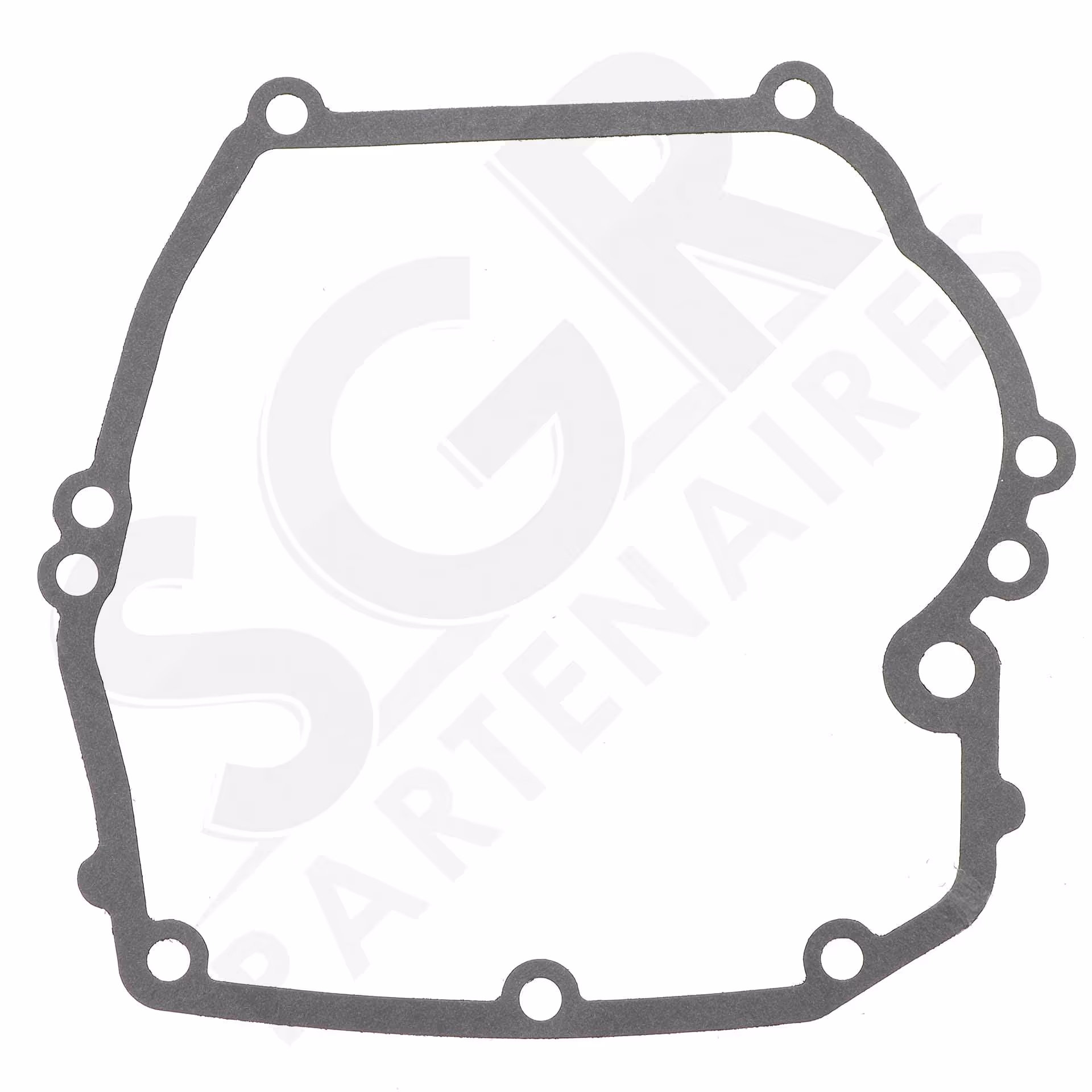 Briggs & Stratton | CARTER INF + JOINTS