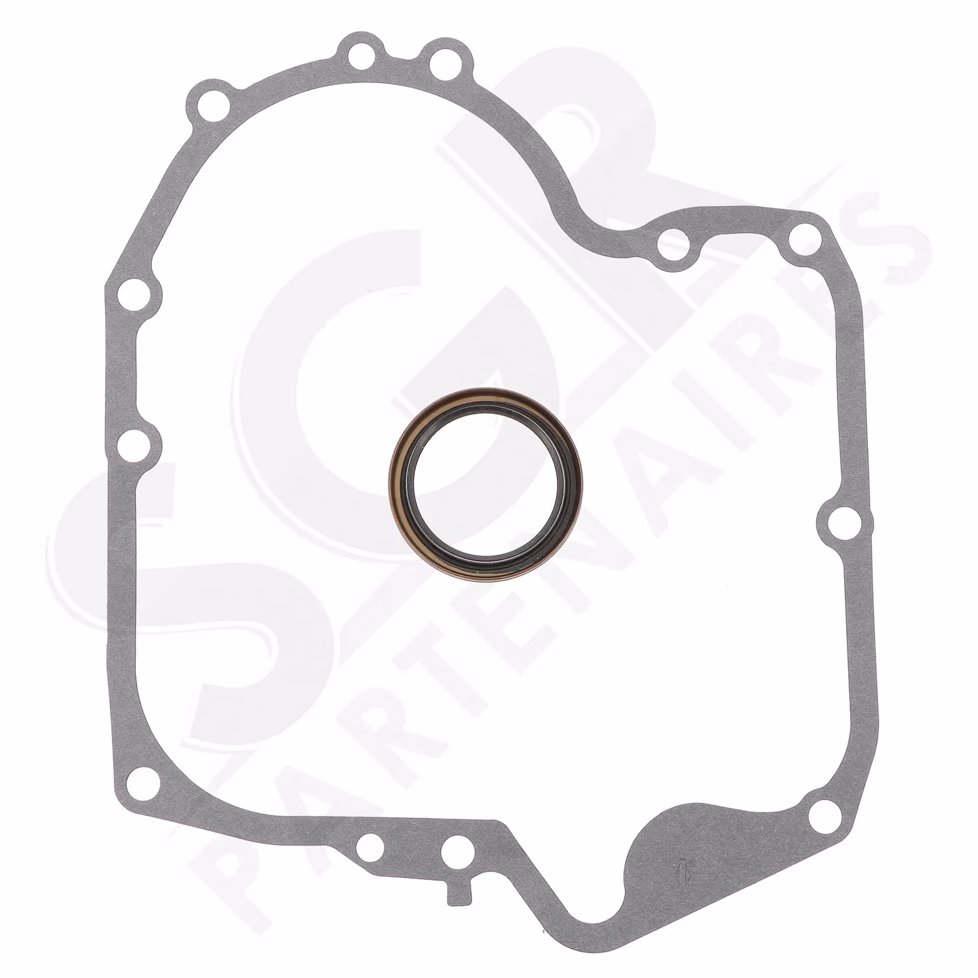 Briggs & Stratton | CARTER MOTEUR