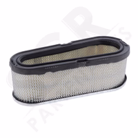 Briggs & Stratton | CARTOUCHE FILTRE AIR 4166