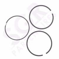 Briggs & Stratton | JEU DE SEGMENTS