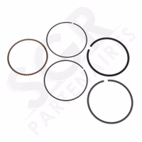 Briggs & Stratton | JEU DE SEGMENTS