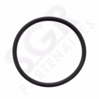 Briggs & Stratton | JOINT TORIQUE