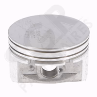 Briggs & Stratton | PISTON