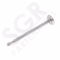 Briggs & Stratton | SOUPAPE  ECH