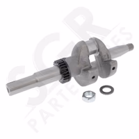 Briggs & Stratton | VILEBREQUIN 22.2 X 62