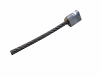 BRINS TETE DESHERBAGE ->PL