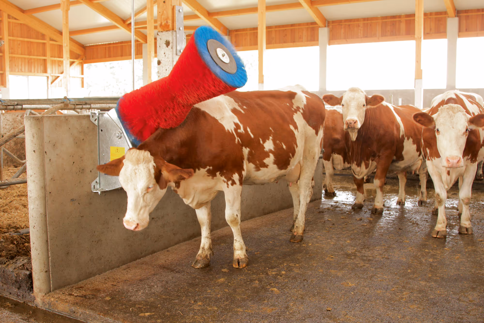 Brosse à vaches HappyCow 