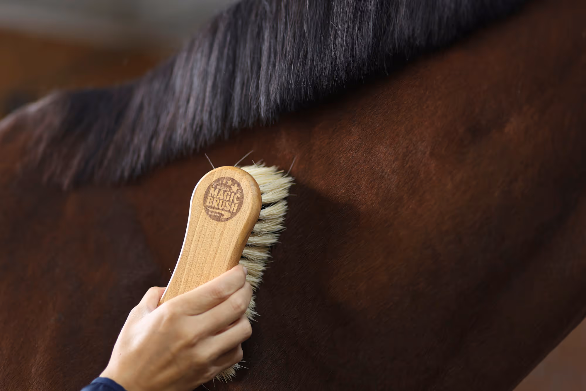 Brosse combinée MagicBrush