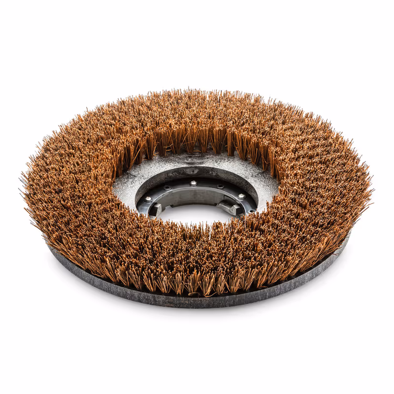 Brosse Palmyra D 430