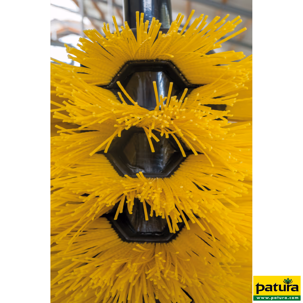 Brosse pivotante Midi pour jeune bétail, veaux et poneys (L 100 cm, poids 45 kg)