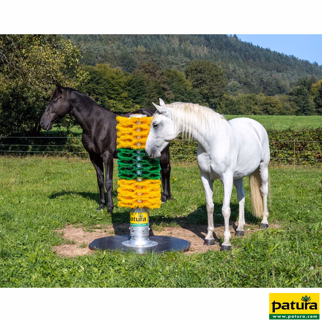 Brosse sur poteau MAXI, hauteur 1,50 m avec poteau sur platine jaune / vert / jaune