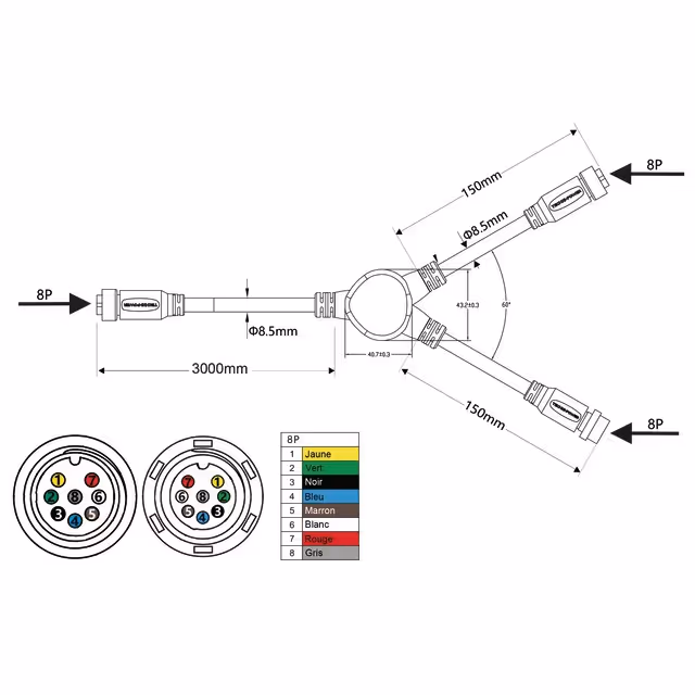 Cable de liaison "y" femelle/male-femelle 8 pin 3m techni-power
