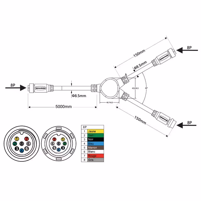Cable de liaison "y" femelle/male-femelle 8 pin 5m techni-power