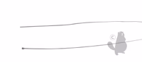 CABLE SOUPLE
