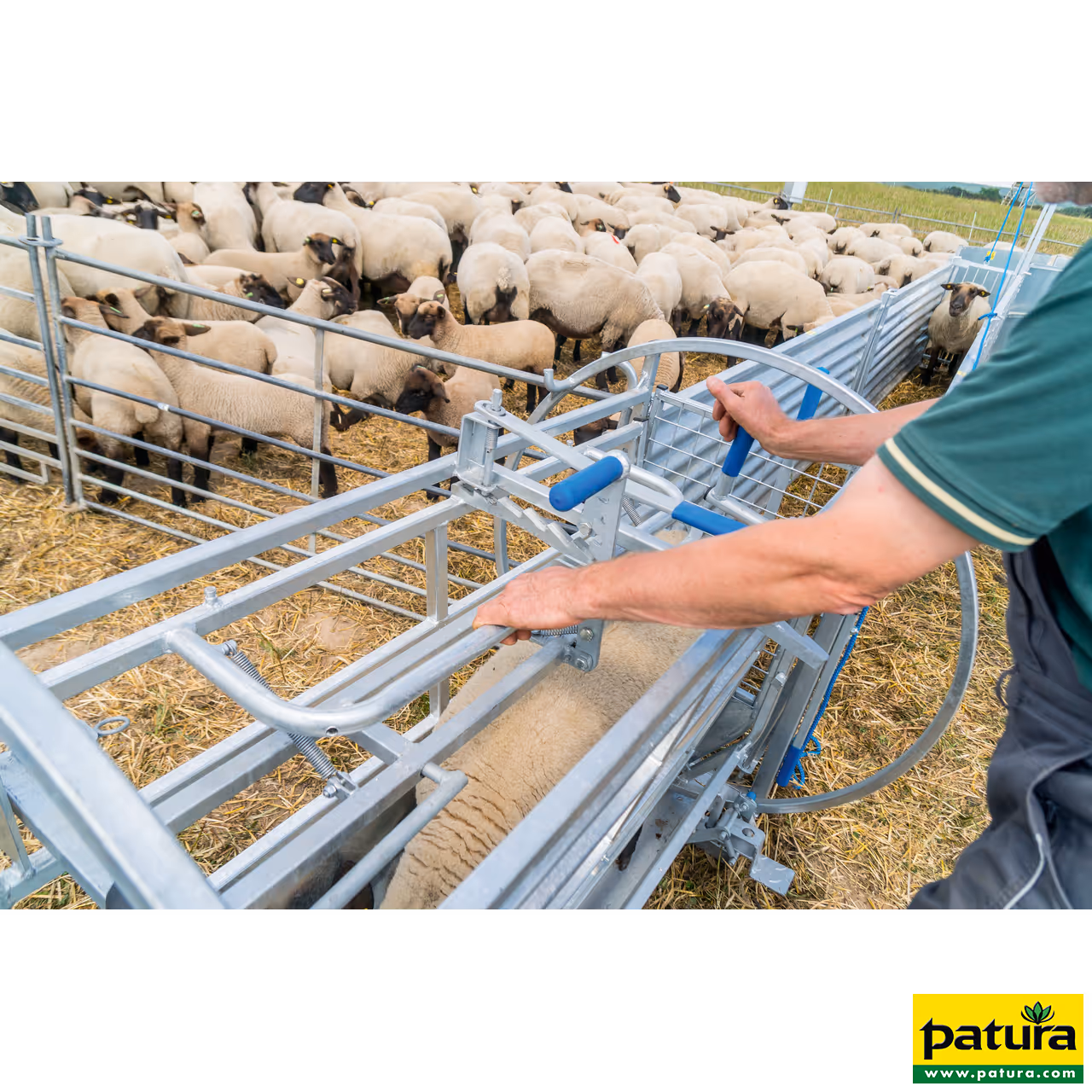 Cage de retournement pour moutons essieu inclus