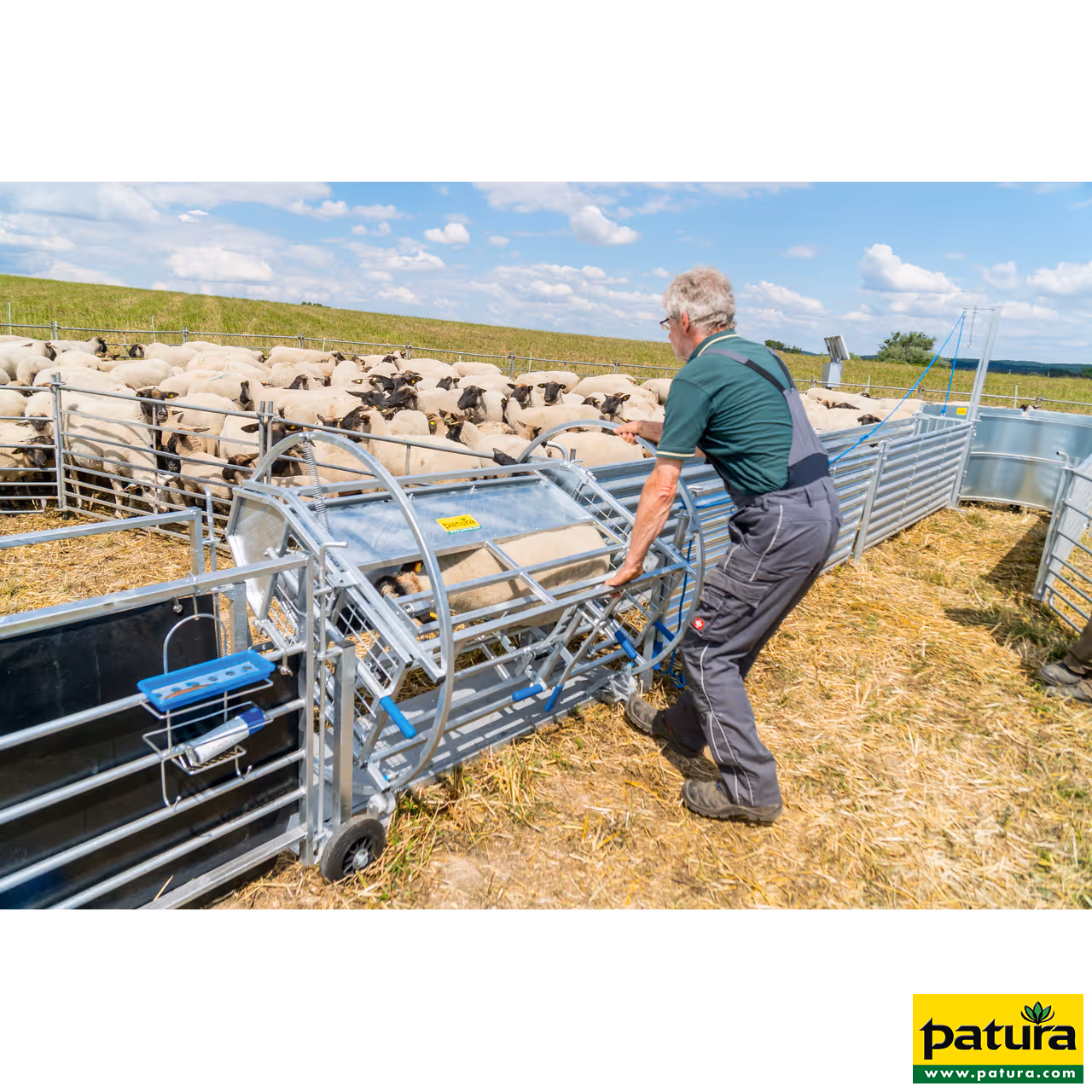 Cage de retournement pour moutons essieu inclus
