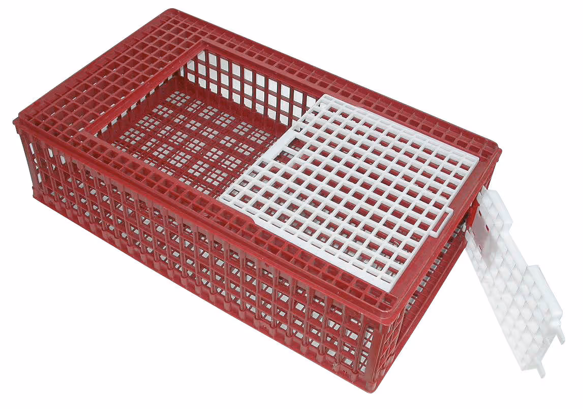 Cage de transport volailles, 95X57X27,5cm