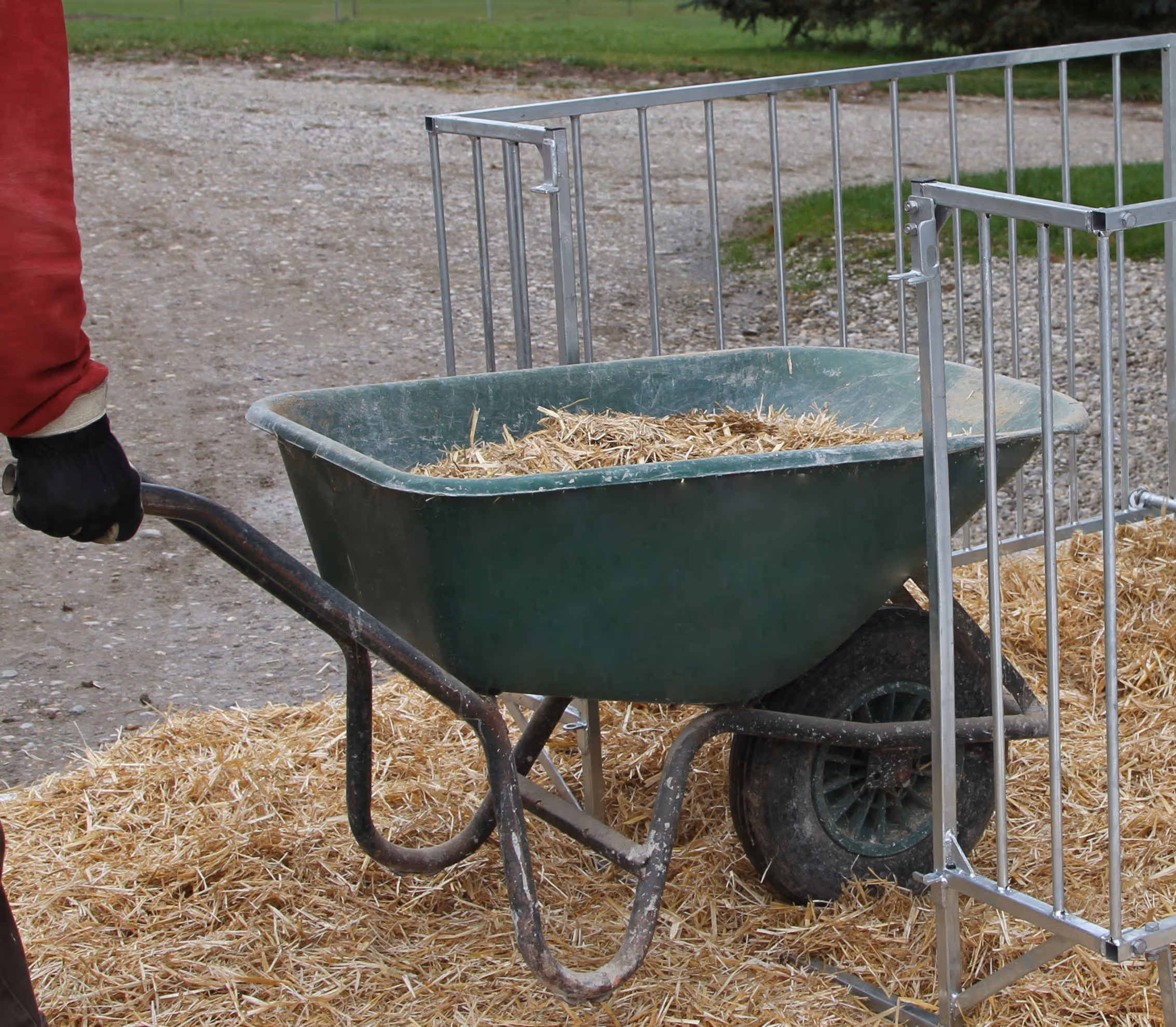 CalfHouse Master Plus enclos léger