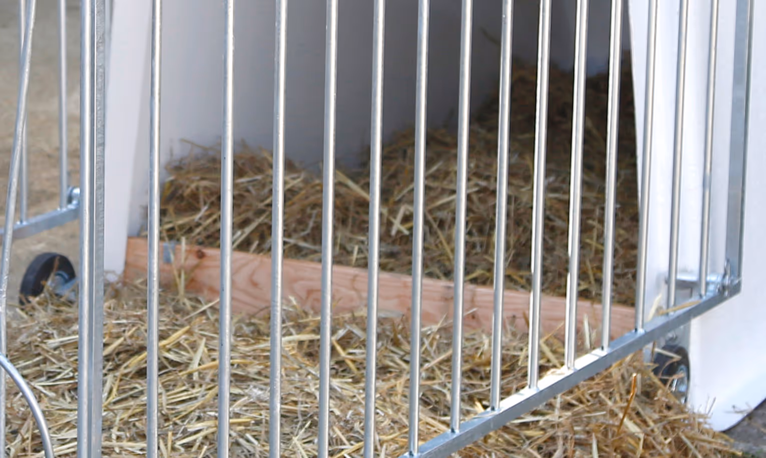 CalfHouse Master Plus enclos léger