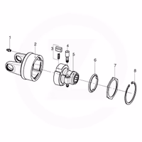 Came mit Feder Came mit feder