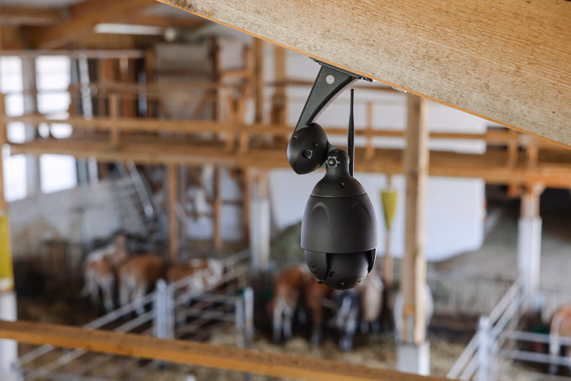 Caméra IPCam 360° FHD 1080p 