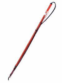 Canne télescopique 6 mètres en aluminium