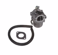 carburateur brigg straton